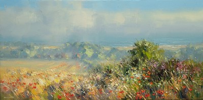 REX PRESTON - poppies and daisies, north norfolk coast